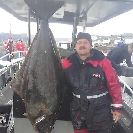 Norge-fishing