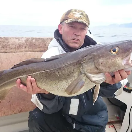 Norge-fishing Hostel *